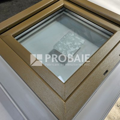 Fenêtre 1 vantail aspect champagne brossé