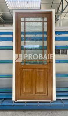 Porte d'entrée demi-panneau SIRIUS avec croisillons asymétriques