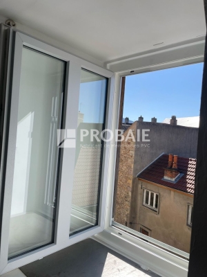 Fenêtre 1 vantail avec faux meneau