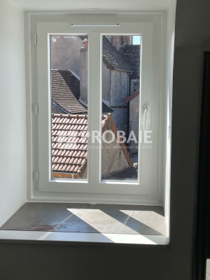 Fenêtre 1 vantail avec faux meneau