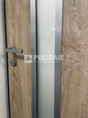 Insert C3 aluminium brossé pour porte monobloc ALLURE