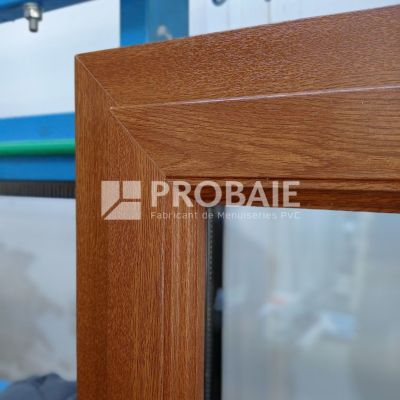 PROBAIE