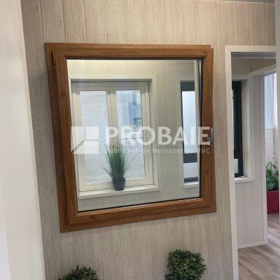 Fenêtre 1 vantail + oscillo-battant