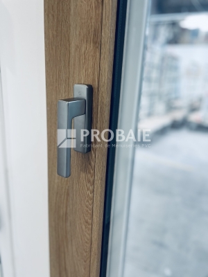 Poignée pour coulissant Ergo 20° F9