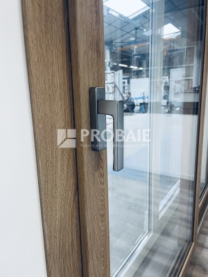 Poignée pour coulissant Ergo 20° F9