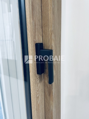 Poignée pour coulissant Ergo 20° Noir mat