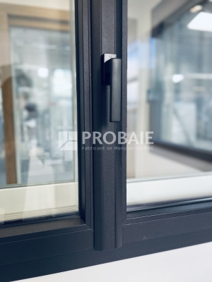 Finition LINEA plaxé noir mat