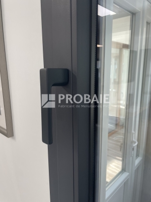 Poignée sans embase SYMBIOSE