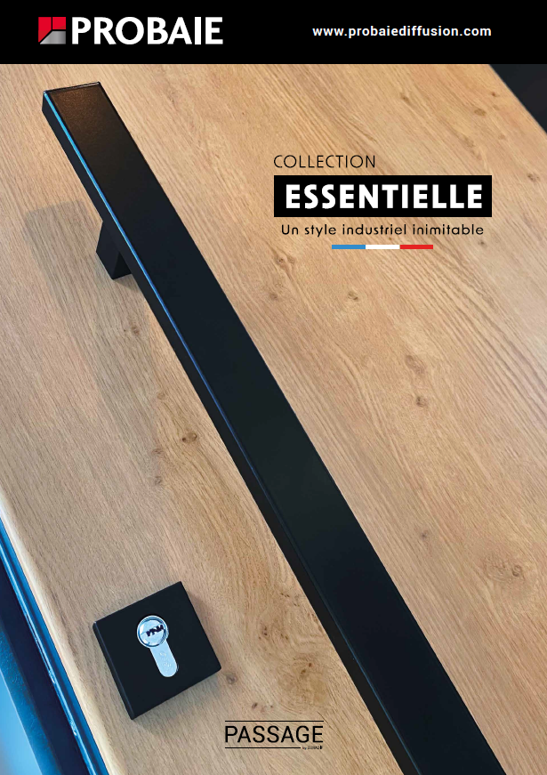 pvc fabricant rhone lyon sur-mesure probaie moderne interieur porte entree passage euradif